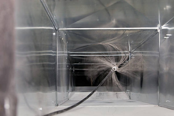 Best Air Duct Mold Removal  in Halls, TN