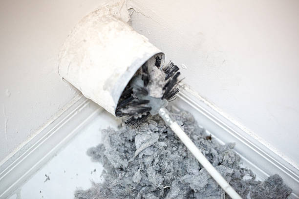 Best Professional Duct Cleaning Services  in Halls, TN