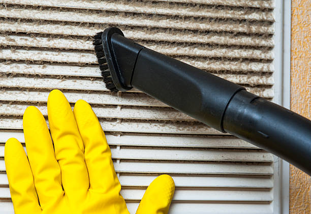 Best Local Air Duct Cleaning Services  in Halls, TN